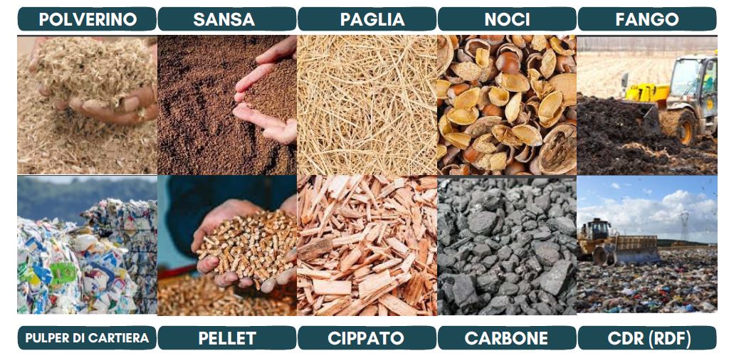 Biomasse e combustibili solidi